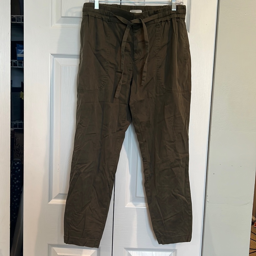 NWT Loft pants